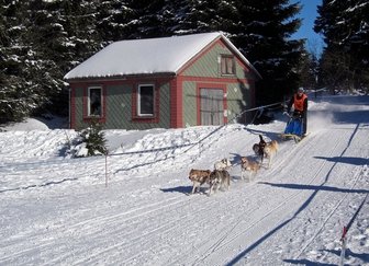 Mushing