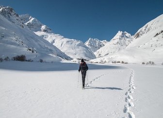 Raquetas de nieve