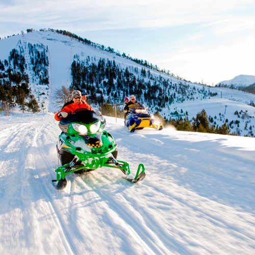 Mushing Pirineus #4