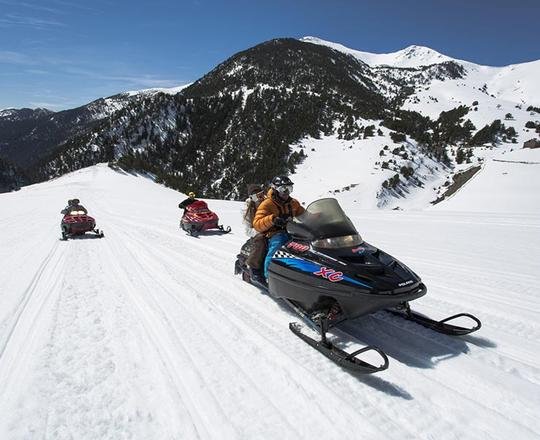Mushing Pirineus #5