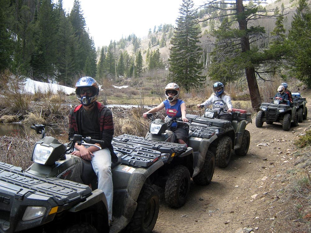 Mushing Pirineus #6