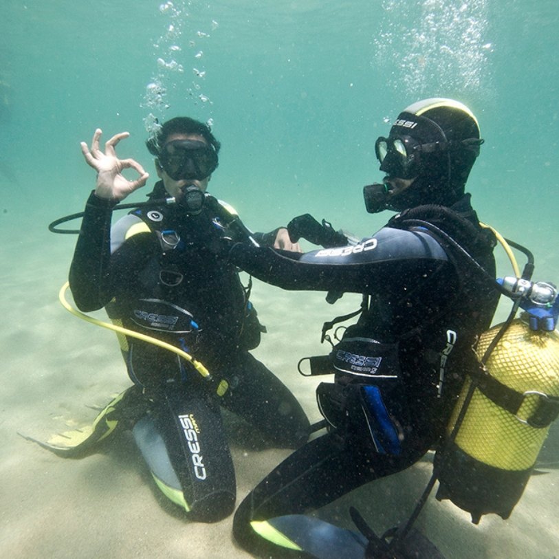 Vanas Dive #0