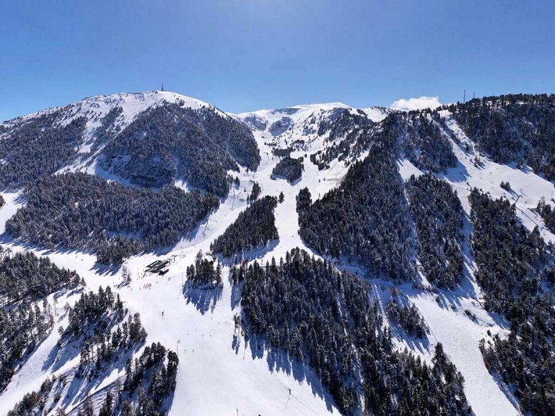 Masella Escola #4