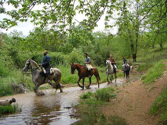 Rafting Catalunya #5
